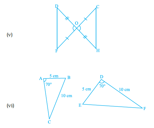 Page 182 Chapter 6 Class 7th NCERT Exemplar